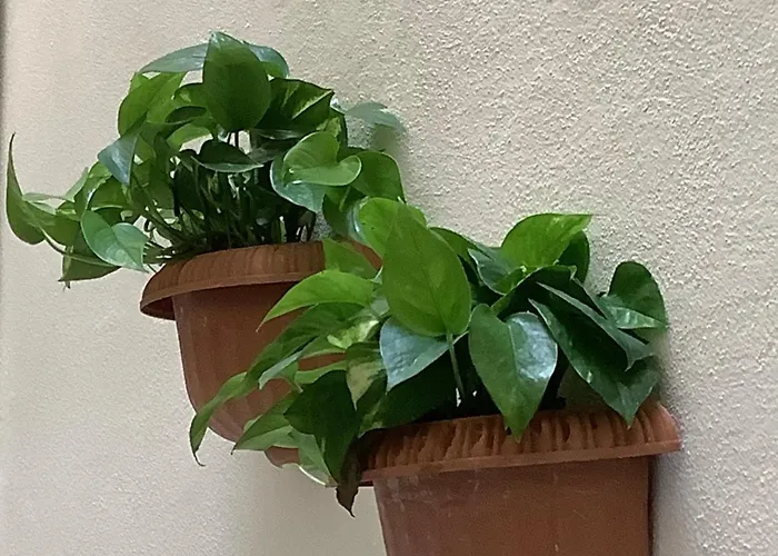 Beautiful Appartement *