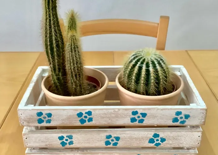 Beautiful * St. Paul's Bay