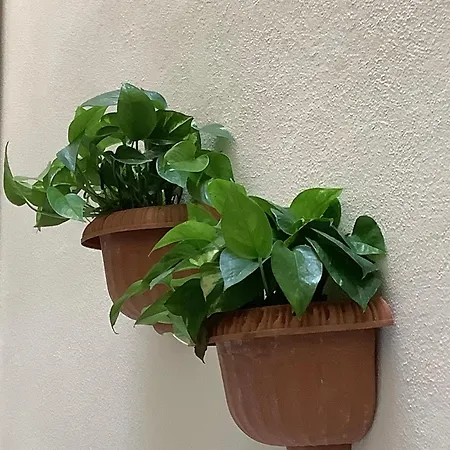 Beautiful Apartment *